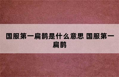 国服第一扁鹊是什么意思 国服第一扁鹊